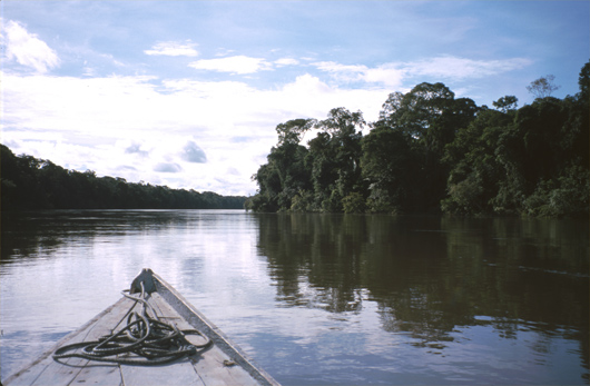 Environment of the Amazon